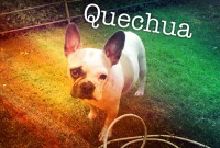 /album/galerie-photos/a25-jpg/