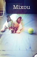 /album/galerie-photos/a26-jpg/