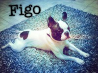 /album/galerie-photos/a28-jpg/