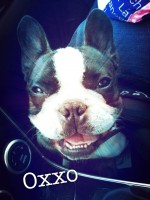 /album/galerie-photos/a29-jpg/