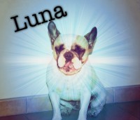 /album/galerie-photos/a30-jpg/