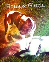 /album/galerie-photos/a32-jpg/