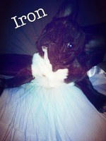 /album/galerie-photos/a34-jpg/