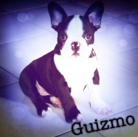 /album/galerie-photos/a35-jpg/