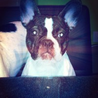 /album/galerie-photos/a36-jpg/