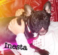 /album/galerie-photos/a37-jpg/