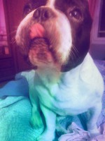 /album/galerie-photos/a38-jpg/