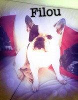 /album/galerie-photos/a39-jpg/