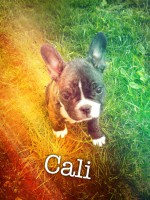 /album/galerie-photos/a40-jpg/