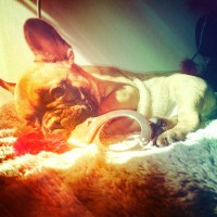 /album/galerie-photos/a41-jpg/