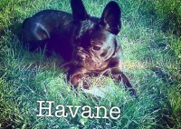 /album/galerie-photos/a43-jpg/