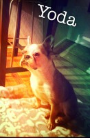 /album/galerie-photos/a44-jpg/