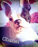 /album/galerie-photos/a45-jpg/