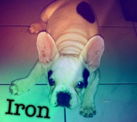 /album/galerie-photos/a46-jpg/