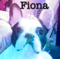 /album/galerie-photos/a47-jpg/