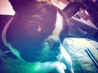 /album/galerie-photos/a49-jpg/