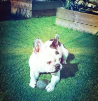 /album/galerie-photos/a50-jpg/