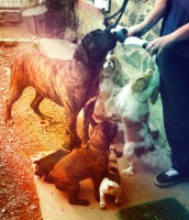 /album/galerie-photos/a54-jpg/