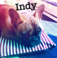 /album/galerie-photos/a55-jpg/