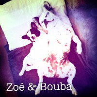 /album/galerie-photos/a56-jpg/