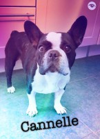 /album/galerie-photos/a59-jpg/