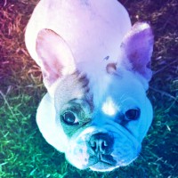 /album/galerie-photos/a60-jpg/