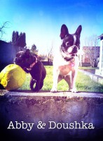 /album/galerie-photos/a70-jpg/