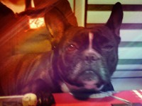 /album/galerie-photos/a71-jpg/