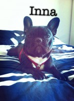 /album/galerie-photos/a72-jpg/