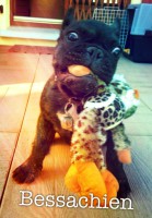 /album/galerie-photos/a73-jpg/