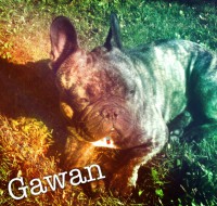 /album/galerie-photos/a74-jpg/