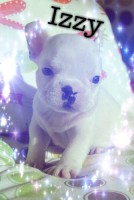 /album/galerie-photos/a77-jpg/