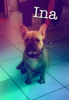 /album/galerie-photos/a78-jpg/