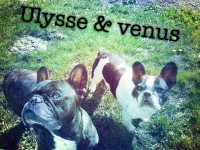 /album/galerie-photos/a79-jpg/