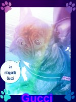 /album/galerie-photos/a80-jpg/