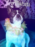 /album/galerie-photos/a84-jpg/