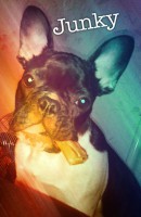 /album/galerie-photos/a86-jpg/