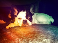 /album/galerie-photos/a87-jpg/