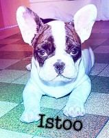 /album/galerie-photos/a89-jpg/