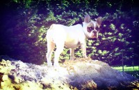 /album/galerie-photos/a90-jpg/