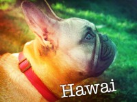 /album/galerie-photos/a91-jpg/