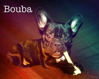 /album/galerie-photos/a92-jpg/