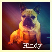 /album/galerie-photos/a93-jpg/