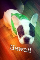 /album/galerie-photos/a95-jpg/