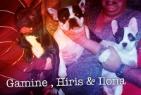 /album/galerie-photos/a97-jpg/