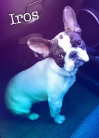 /album/galerie-photos/a98-jpg/