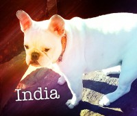 /album/galerie-photos/a99-jpg/