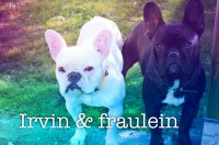 /album/galerie-photos/a101-jpg/