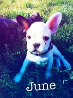 /album/galerie-photos/a102-jpg/