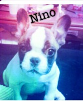 /album/galerie-photos/a104-jpg/